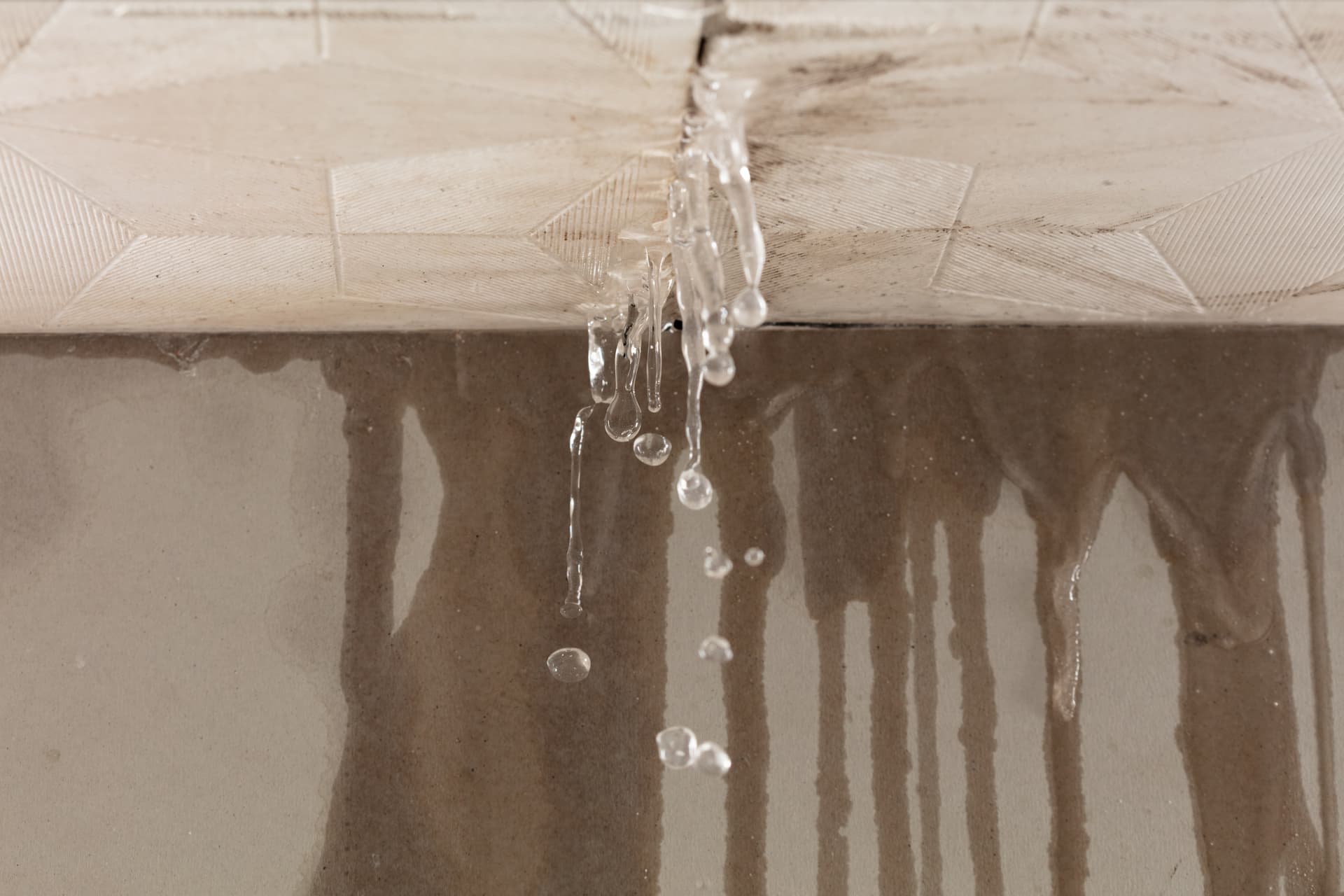 Can Rotten Sash Windows Be Repaired or Should They Be Replaced?